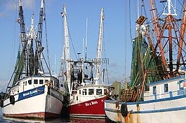 蝦,船,海岸