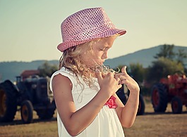 bimba,性质,手