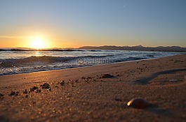 海灘,日落,海