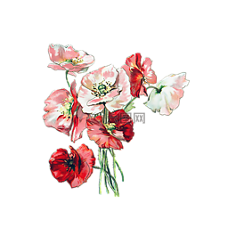 鮮花,罌粟,釀酒