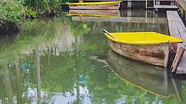 船,花園,泰國