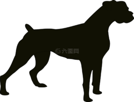 狗,黑,動(dòng)物