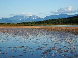 湖,山,森林