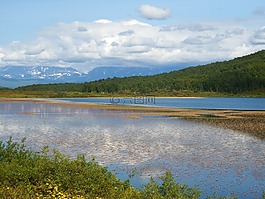 湖,山,森林