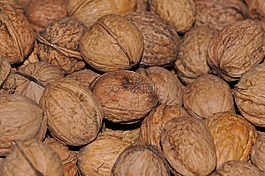 核桃,堅果,食品