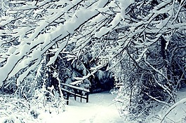 冬天,雪,景區(qū)
