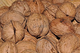 核桃,堅果,食品