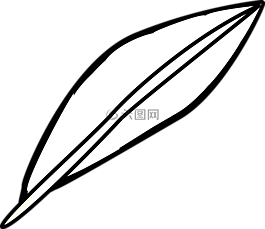 羽毛,鸟,重量轻