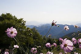 密阳,宇宙,大自然