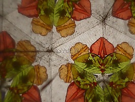 萬花筒,背景,抽象的圖像