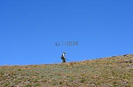 土耳其,黑海東,ispir