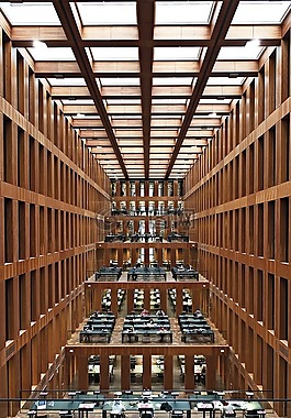 柏林,格林库,建设