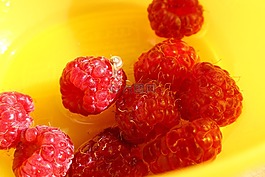 山莓,蝸牛,水果