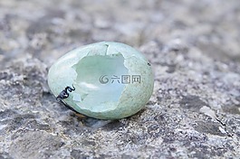 雞蛋,amselei,黑鳥