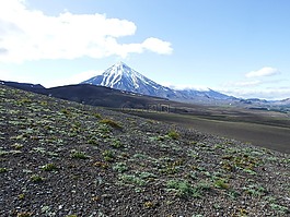 火山,腳,毒素