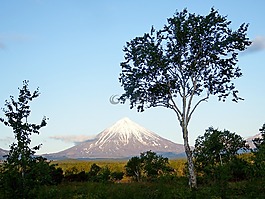 火山,森林,秋季