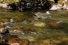 水,溪,流