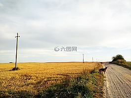 立陶宛,國(guó)家,村