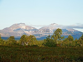 火山,森林,秋季