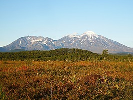 火山,森林,秋季