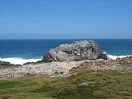 海,海洋,水