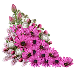 鮮花,花束,裝修