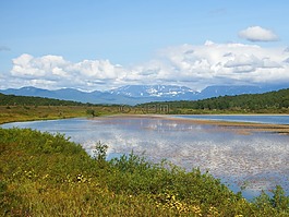 湖,山,森林