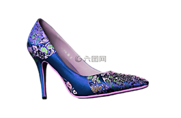 高跟鞋,泵,婦女的鞋子