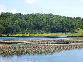 湖,山,森林