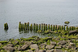 海,濱,巖