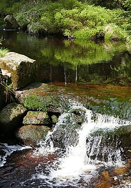 過獨(dú)身生活,河,水