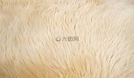 山羊頭發,毛皮,動物