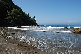濱,海灘,海
