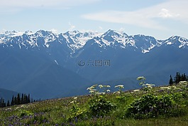 山,山脊,嶺