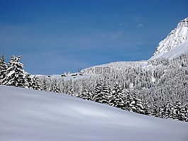 冬天,雪,寒冬