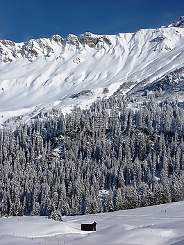 冬天,雪,寒冬