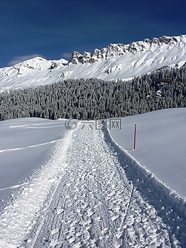 冬天,雪,寒冬