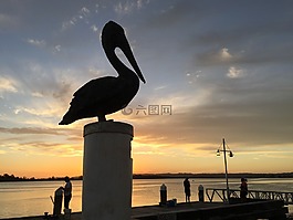 鵜,雕像,剪影