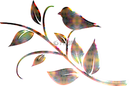 鳥(niǎo),抽象,有色