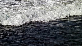 海,holas,和平