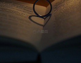 心臟,本書,環(huán)