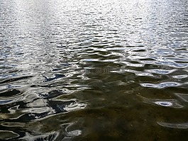水,水面,反射
