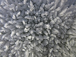 eiskristalle,冰,霜