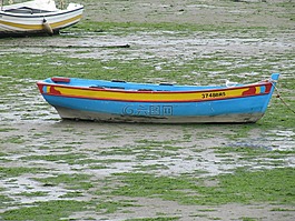 落潮,引導(dǎo),假期