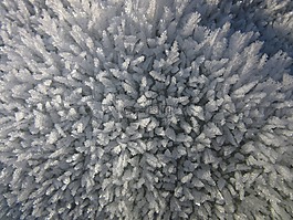 eiskristalle,冰,霜