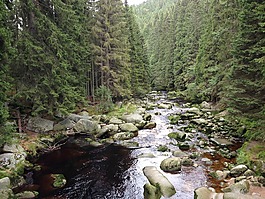 水,石頭,流