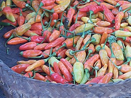 辣椒,紅色,市場(chǎng)