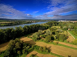 鳥瞰圖,無人駕駛飛機,quadcopter