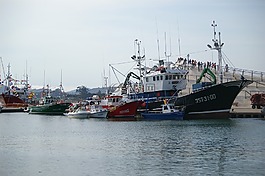 端口,釣魚(yú),捕魚(yú)