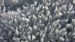 eiskristalle,冰,霜